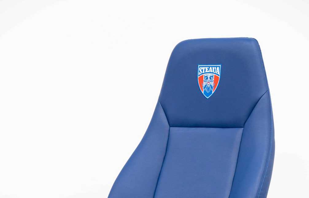 MIR Arena Steau Bucharest Conference Hall Detail 2